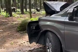 Mobil Pengunjung TSI 2 Prigen Tabrak Pohon Pinus, Humas: Sopir Microsleep