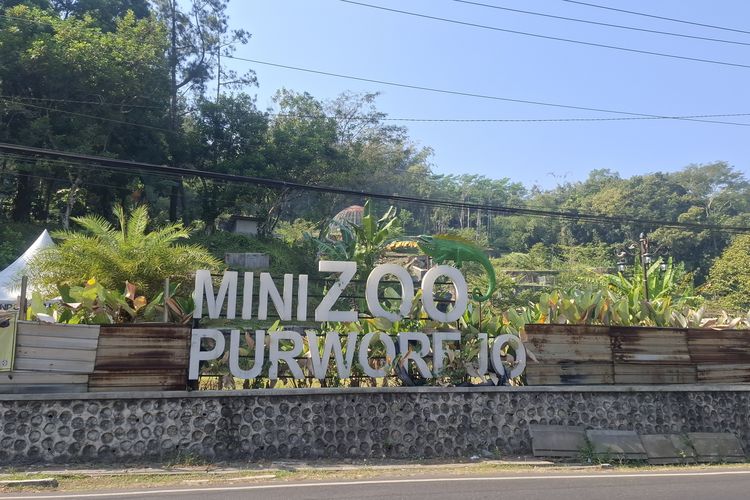 Melihat Mini Zoo Purworejo yang Mangkrak, Proyek Rp 9,69 Miliar Berujung Korupsi