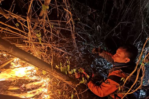 2 Bukit di Blitar yang Terbakar Sabtu Malam Telah Padam, Api Hanguskan 3 Hektar Lahan