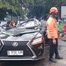 Bukan Pertama Kali, Tragedi Maut Pohon Palem Tumbang di Pondok Indah