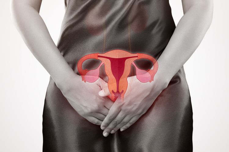 Ilustrasi vagina. Penyakit sifilis pada wanita dapat menyebabkan munculnya tanda-tanda, seperti benjolan kecil padat, ruam, dan luka-luka di sekitar vagina atau anus.