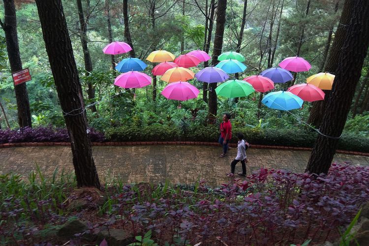 Jalan paving blok mempermudah pengunjung menuju air terjun diantara taman yang dipenuhi tanaman bunga  yang terjaga kebersihannya menjadi daya tarik tersendiri air terjun SUwono.