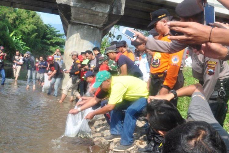 Para relawan peserta Open Lepen Kaligarang 2017 melepas benih ikan di sungai Kaligarang, Ungaran, Kabupaten Semarang, Minggu (21/5/2017) pagi.
