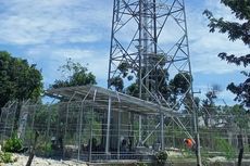 Jaringan 4G di Kampung Halaman Gubernur NTT Lemot, Kades: Tower Sudah Berdiri Kokoh Sejak Lama