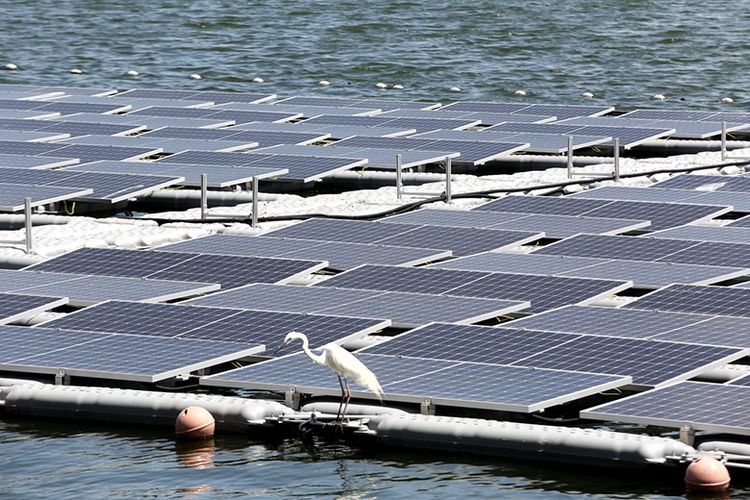 Terdapat 228 panel solar cell yang dimanfaatkan untuk membangun listrik melalui PLTS Terapung Waduk Muara Nusa Dua. 