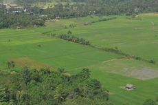 Tanah Subur Indonesia Terancam Konversi Lahan