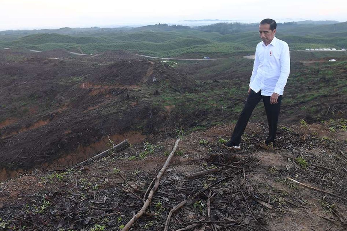Presiden Joko Widodo meninjau lokasi rencana ibu kota baru di Sepaku, Penajam Paser Utara, Kalimantan Timur, Selasa (17/12/2019). Jokowi mengaku puas setelah meninjau lokasi tersebut yang nantinya akan dibangun kluster pemerintahan, termasuk Istana Kepresidenan.