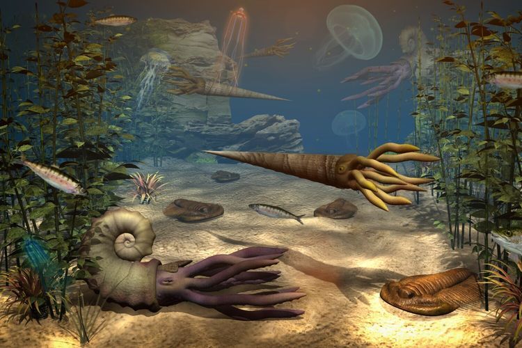 Ilustrasi kehidupan bawah laut pada Zaman Paleozoikum