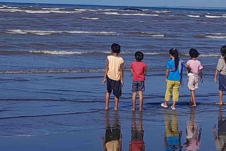 Foto: Paus biru mati di Perairan Sletreng Kabupaten Situbondo Provinsi Jawa Timur pada Jumat (25/7/2025).