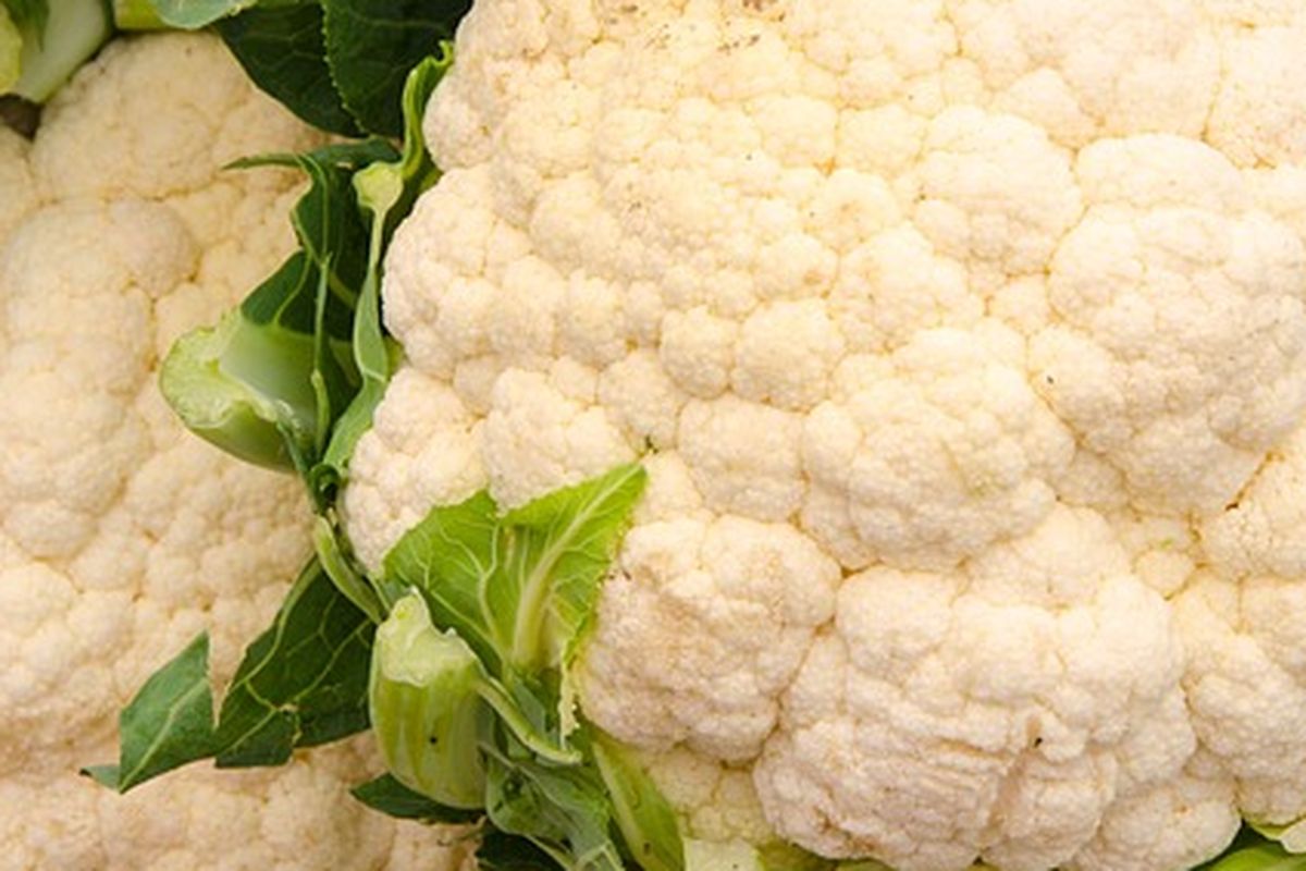 Ilustrasi bunga kol, kembang kol