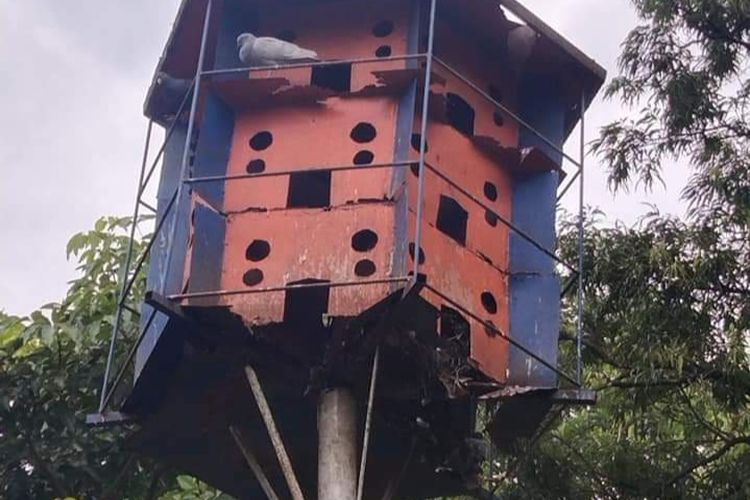 Kondisi salah satu kandang burung dara di Alun-alun Kota Malang yang nyaris roboh. 