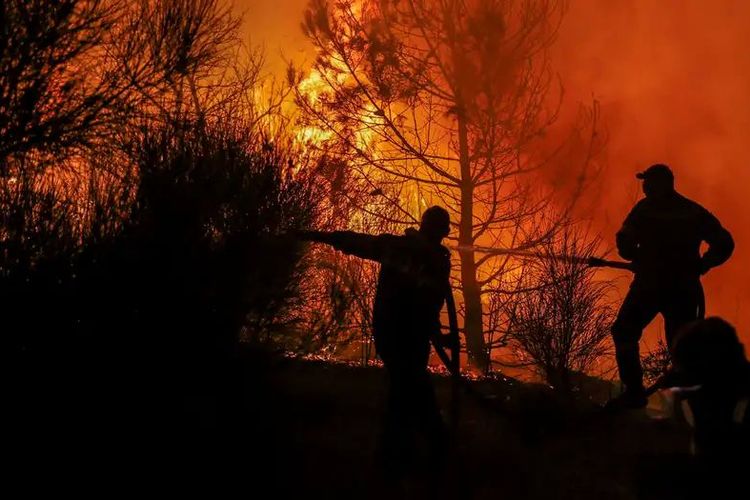 Menhut Raja Juli: Indonesia Belum Aman Karhutla di Tengah El Nino