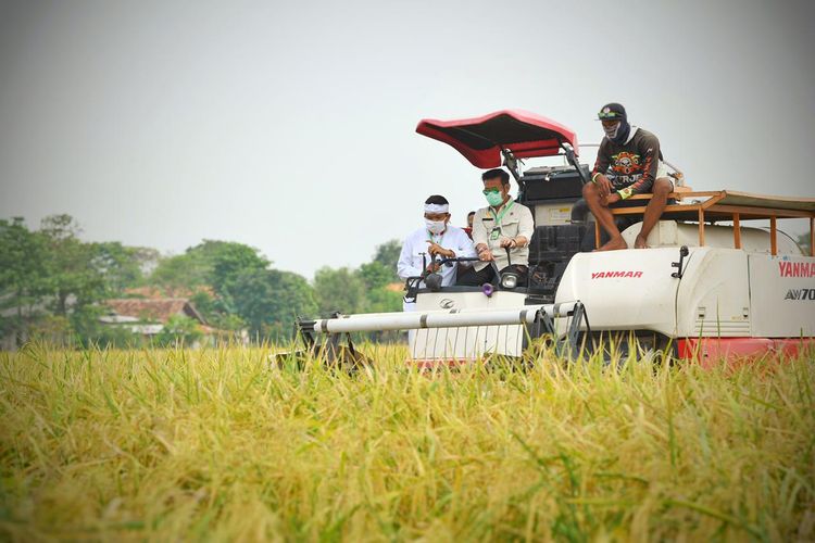 Menurut Menteri Pertanian (Mentan) Syahrul Yasin Limpo, pertanian menjadi hal yang sangat penting untuk diurusi negara agar kebutuhan rakyat terpenuhi.