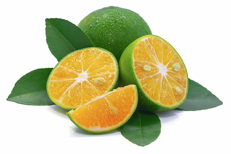 Ilustrasi buah lemon cui. 