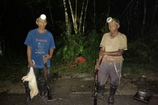 Pemburu Satwa Liar Ditangkap Petugas TN Manusela, Senapan dan Peluru Disita