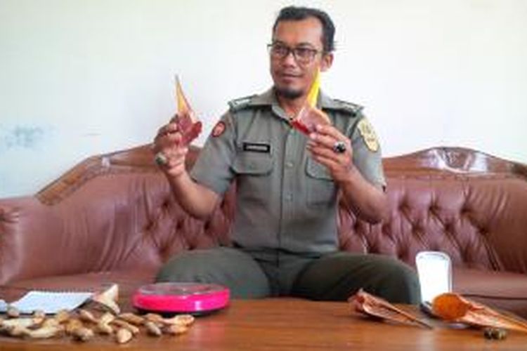 Anggota SPORC Brigade Bekantan menunjukkan barang bukti bagian satwa dilindungi berupa paruh burung enggang dan taring beruang di Markas Komando SPORC, Kubu Raya, Kalimantan Barat. (2/9/2015)