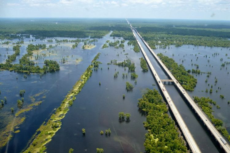 Manchac Swamp Bridge