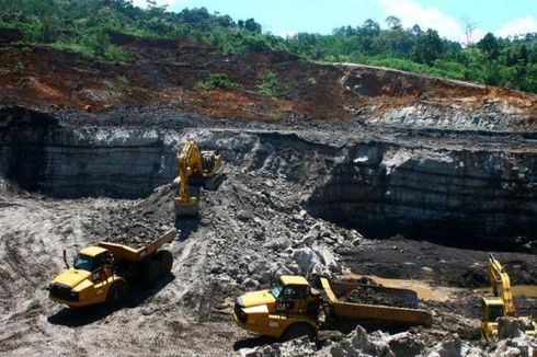 Pulau-pulau Kecil di Babel Terancam Tenggelam karena Tambang dan Kebun