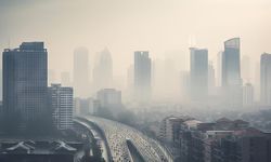 60 Persen Penyakit pada Seseorang Disebabkan Polusi Udara
