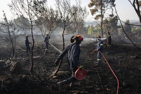 Kebakaran Besar Landa Yunani, Separuh Pulau Hangus Dilalap Api