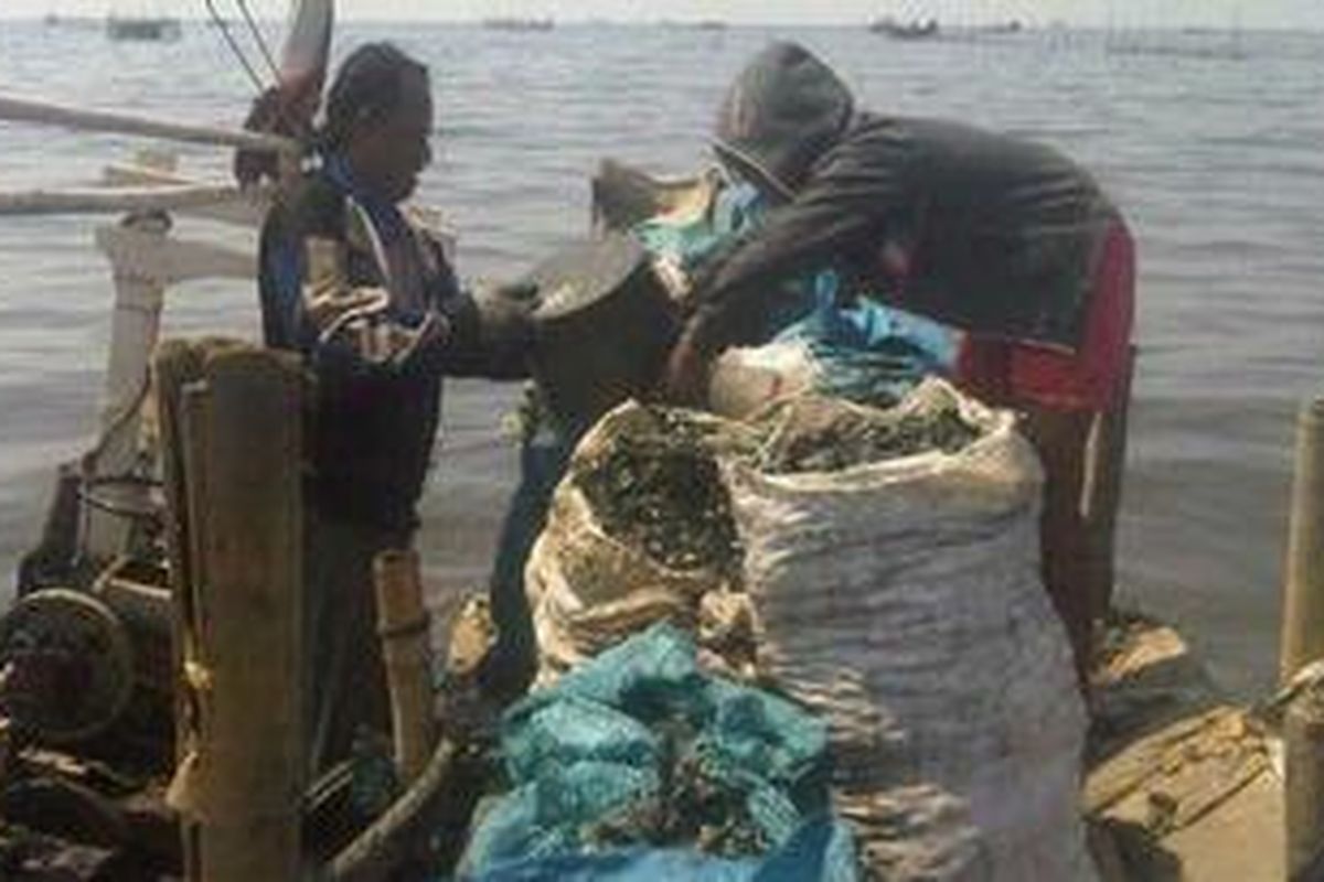 Kerang Hijau hasil tangkapan dimasukan ke dalam karung-karung milik pengrajin kerang, Kali Adem, Muara Angke, Jakarta Utara.