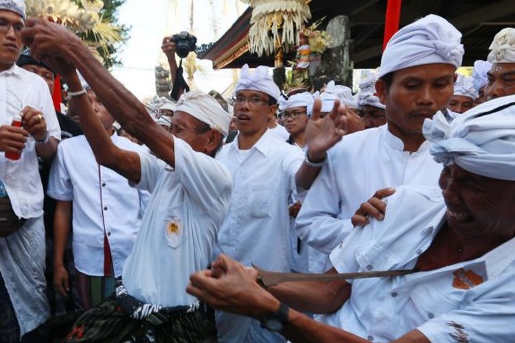 Pemedek dalam keadaan kesurupan (kerahuan) mengujamkan keris di dada (ngurek) dalam tradisi Ngerebong di Pura dalam Petilan, Kesiman, Denpasar. Minggu (2/8/2015). 