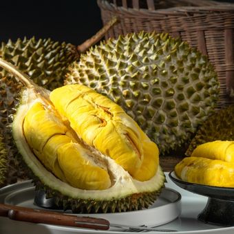 Ilustrasi durian. 