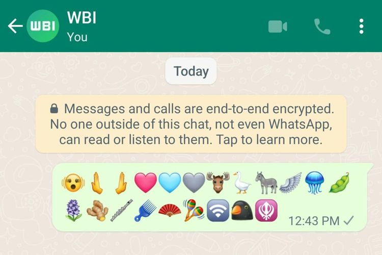 Tampilan 21 emoji baru yang hadir di WhatsApp
