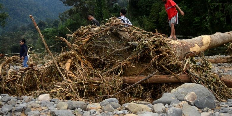 Kayu-kayu besar ditemukan di sepanjang 5 km di Sungai Landak Desa Sampe Raya Kecamatan Bahorok Langkat pada Rabu (18/11/2020) usai banjir bandang yang terjadi sejak Selasa malam.hingga Rabu dini hari.