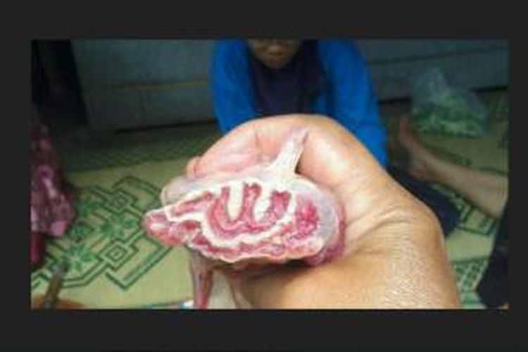 Potongan daging kurban dengan lafaz Allah yang ditemukan pada salah satu potongan daging kurban di SMKN Yogyakarta 