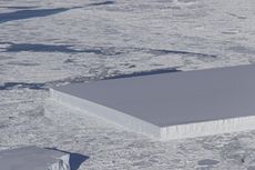 NASA Temukan Gunung Es Persegi Sempurna di Antartika, Buatan Alien?