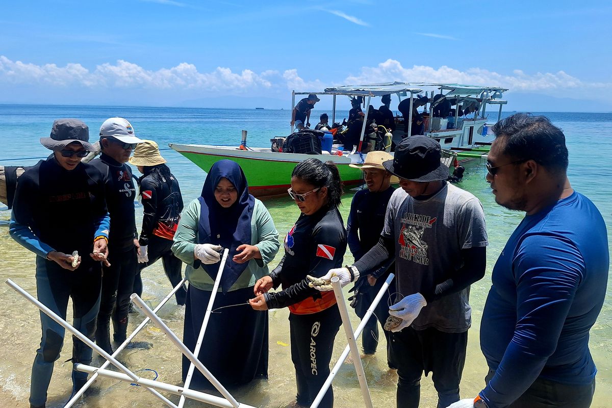 Tim konservasi tengah menyiapkan park sebagai tempat pembibitan karang di Pulau Bulu Poloe. Transplantasi karang merupakan bagian dari upaya PT Vale Indonesia dalam merestorasi ekosistem pesisir Malili.