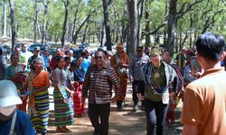 Tawarkan Keindahan Hutan Bonsai, Desa Fatumnasi Masuk 50 Desa Wisata Terbaik ADWI 2024