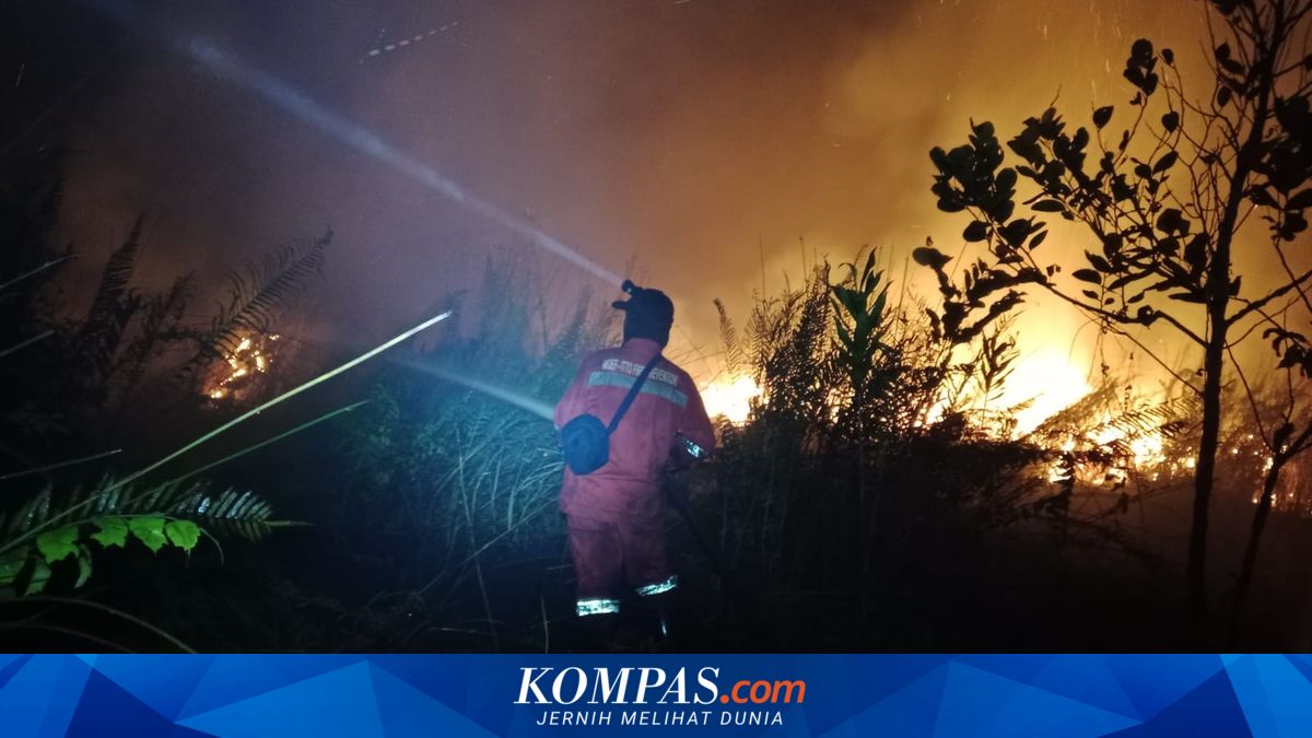 Gambar berita