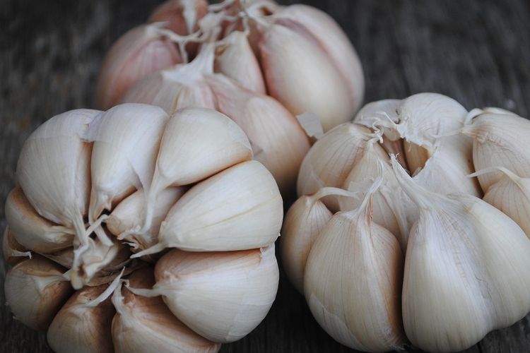 Ilustrasi bawang putih.