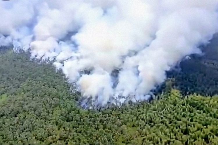 Api Belum Padam di TN Way Kambas, Dampak terhadap Habitat Satwa Belum Terukur