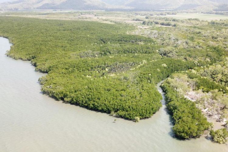 Lokasi sungai di mana pakaian dan tongkat milik Anne Cameron ditemukan. Lokasi ini berada di sebelah selatan Port Douglas. 