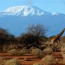 Atap Afrika Gunung Kilimanjaro Kini Dilengkapi Internet Kecepatan Tinggi