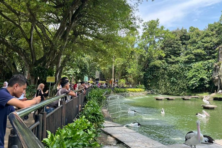 Ragunan Kini Buka Sampai Jam 10 Malam: Siang Lihat Satwa, Malam untuk Olahraga