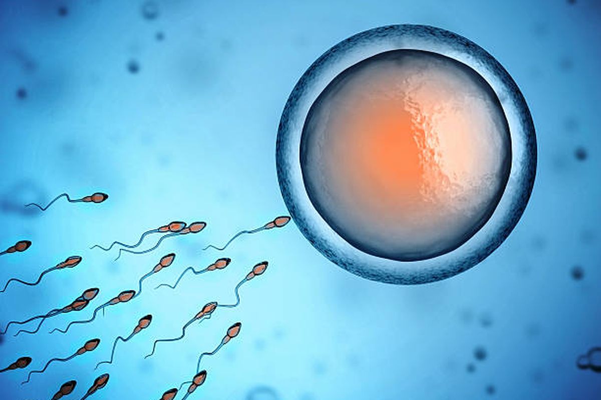 Ilustrasi sperma mendekati sel telur.