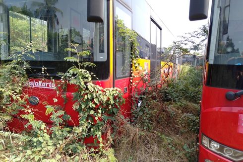 Nasib Puluhan Bus Transjakarta Usang yang Kini Dimakan Rumput Liar
