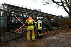 Kebun Binatang di Jerman Terbakar, Simpanse hingga Orangutan Mati