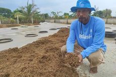 Senyum Tabah Supriyanto, 10 Ton Gabahnya Busuk Terendam Banjir, Padahal Harga Lagi Bagus