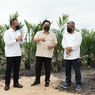 BUMN Perkebunan Bentuk Subholding Kelapa Sawit untuk IPO Tahun Ini