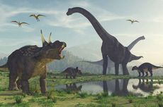 Tidak Sembarangan, Begini Cara Ilmuwan Memberi Nama pada Spesies Dinosaurus