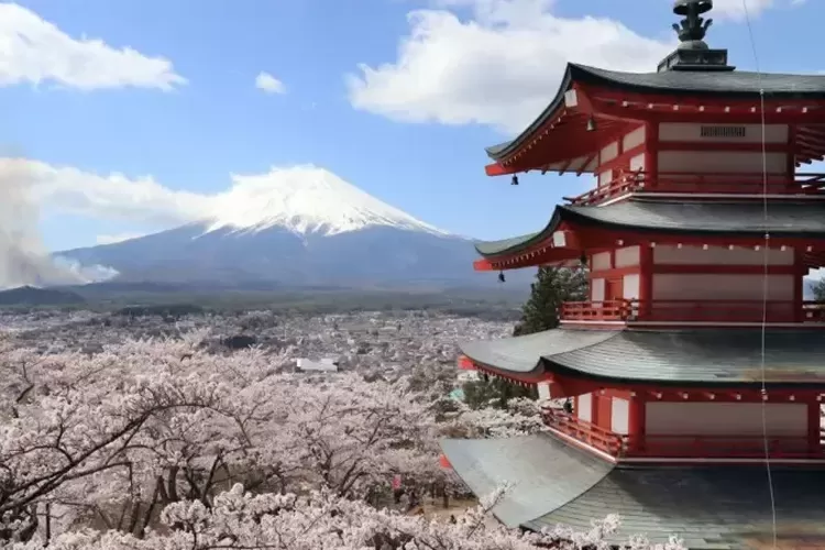 Turis BAB Taman Warga, Kota di Jepang Langsung Batalkan Festival Sakura