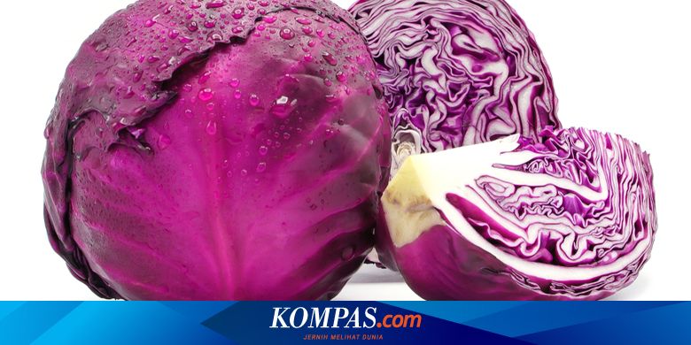 7 Alasan Mengapa Kol Ungu Masuk Dalam Daftar Sayur Paling Menyehatkan Halaman All Kompas Com