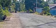 Gempa M 5,8 Guncang Sikka, Warga Desa Wodamude Berhamburan ke Jalan