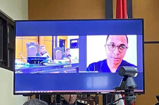 Sawit Masuk Tesso Nilo, Gajah–Harimau Terjepit, Reputasi Indonesia Terancam