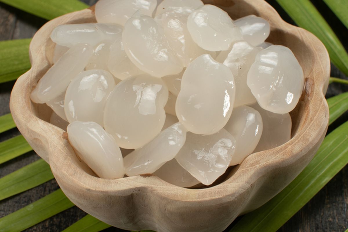 ilustrasi kolang-kaling lahan buah aren